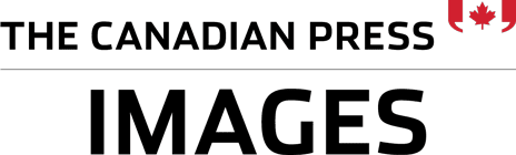 The page header's logo